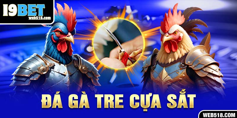 Đá gà tre cựa sắt