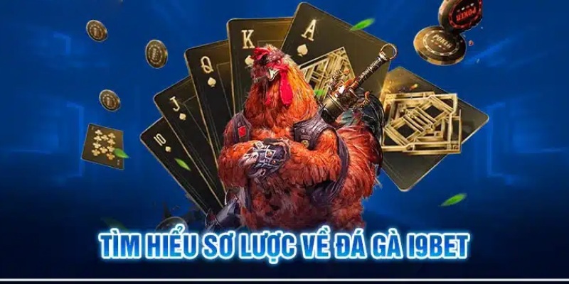 Khám phá sâu hơn về nền tảng đá gà I9BET